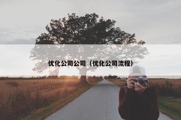 优化公司公司（优化公司流程）