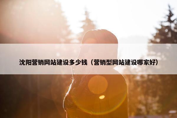 沈阳营销网站建设多少钱（营销型网站建设哪家好）