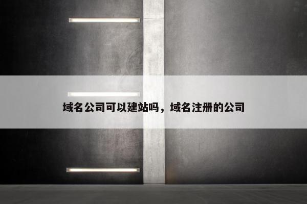 域名公司可以建站吗，域名注册的公司