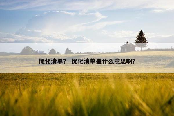 优化清单？ 优化清单是什么意思啊？
