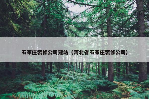 石家庄装修公司建站（河北省石家庄装修公司）