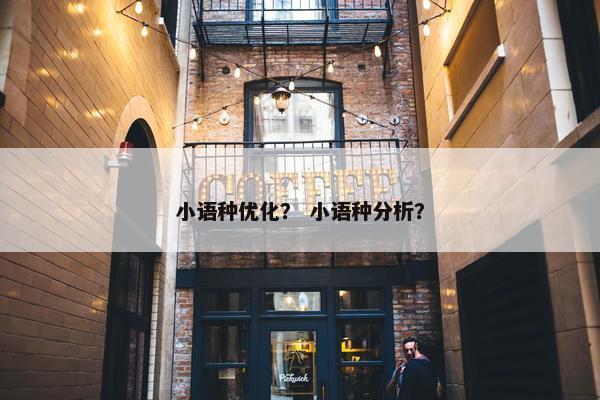 小语种优化？ 小语种分析？