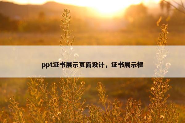ppt证书展示页面设计，证书展示框