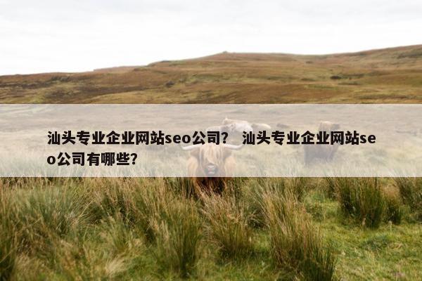 汕头专业企业网站seo公司？ 汕头专业企业网站seo公司有哪些？
