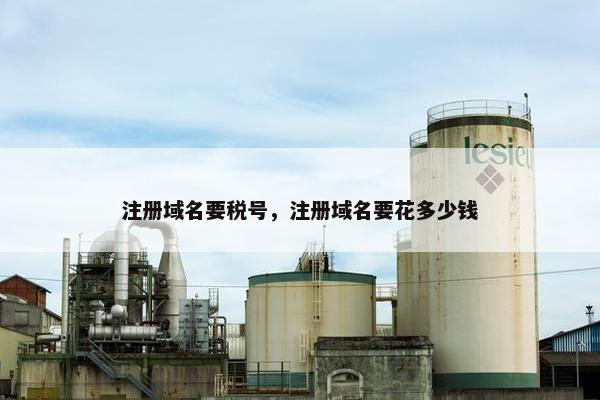 注册域名要税号，注册域名要花多少钱