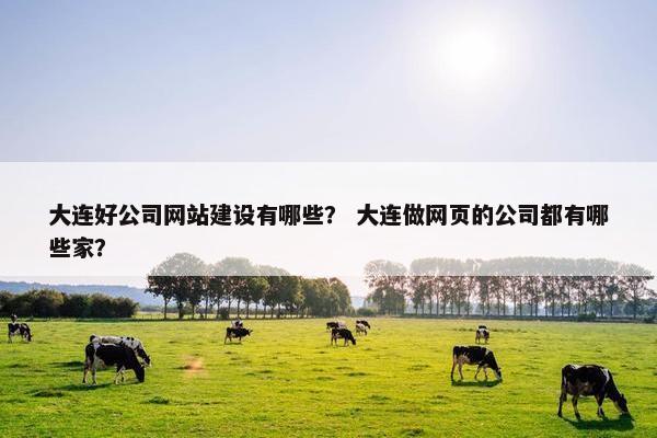 大连好公司网站建设有哪些？ 大连做网页的公司都有哪些家？