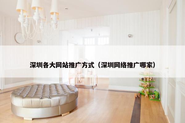 深圳各大网站推广方式（深圳网络推广哪家）