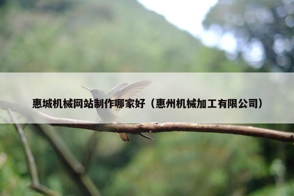 惠城机械网站制作哪家好（惠州机械加工有限公司）