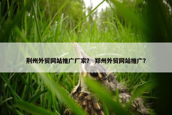 荆州外贸网站推广厂家？ 郑州外贸网站推广？