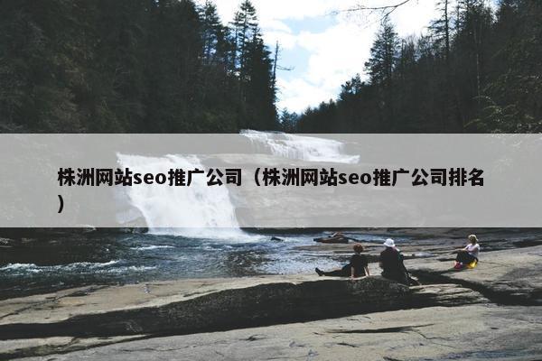株洲网站seo推广公司（株洲网站seo推广公司排名）