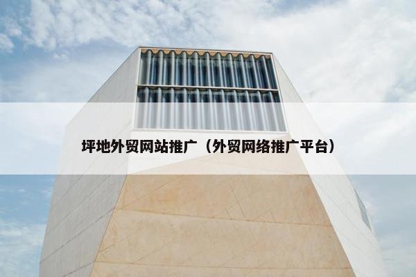 坪地外贸网站推广（外贸网络推广平台）