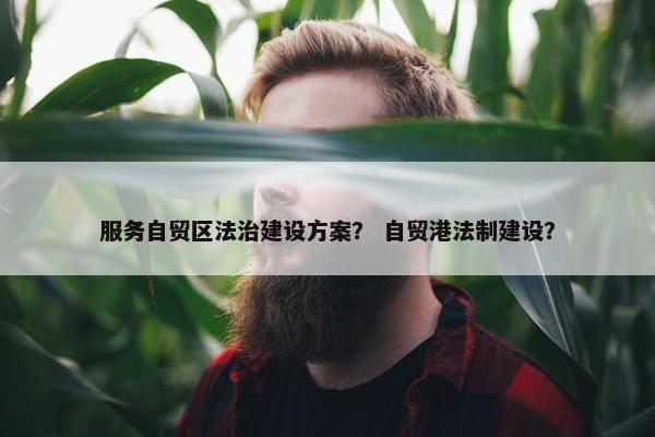 服务自贸区法治建设方案？ 自贸港法制建设？