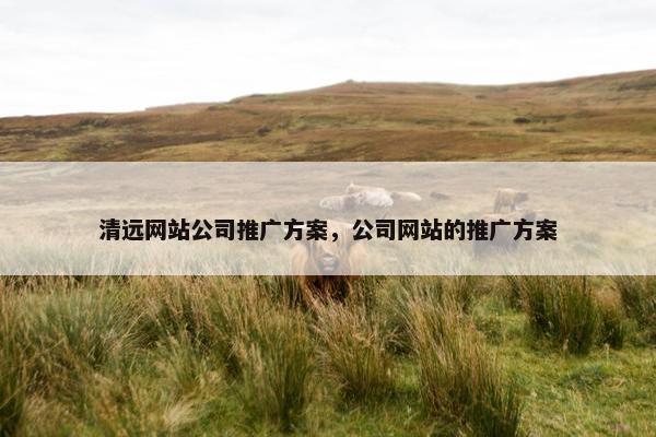 清远网站公司推广方案，公司网站的推广方案