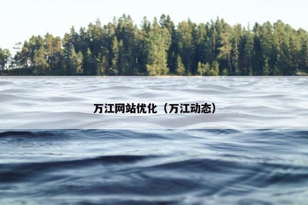 万江网站优化（万江动态）