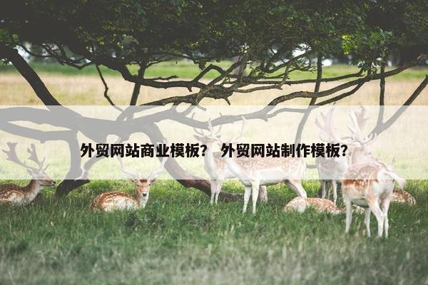外贸网站商业模板？ 外贸网站制作模板？