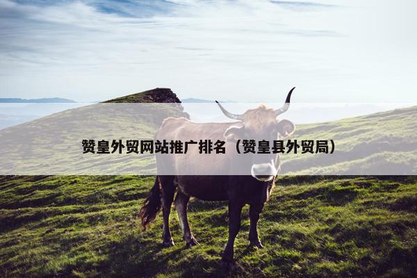 赞皇外贸网站推广排名（赞皇县外贸局）