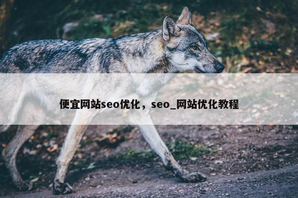便宜网站seo优化，seo_网站优化教程