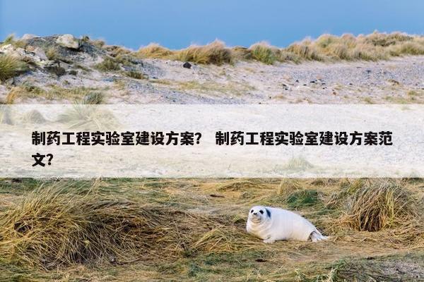 制药工程实验室建设方案？ 制药工程实验室建设方案范文？