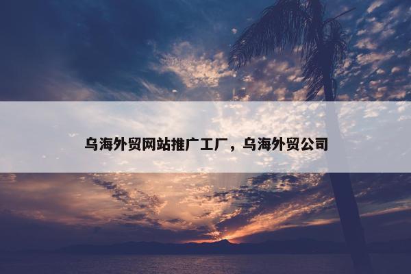 乌海外贸网站推广工厂，乌海外贸公司