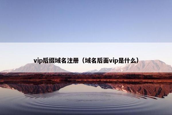 vip后缀域名注册（域名后面vip是什么）