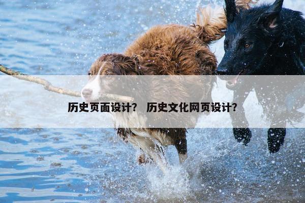 历史页面设计？ 历史文化网页设计？