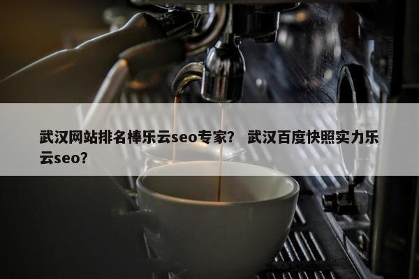 武汉网站排名棒乐云seo专家？ 武汉百度快照实力乐云seo？