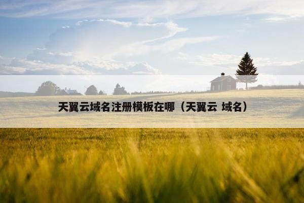 天翼云域名注册模板在哪（天翼云 域名）