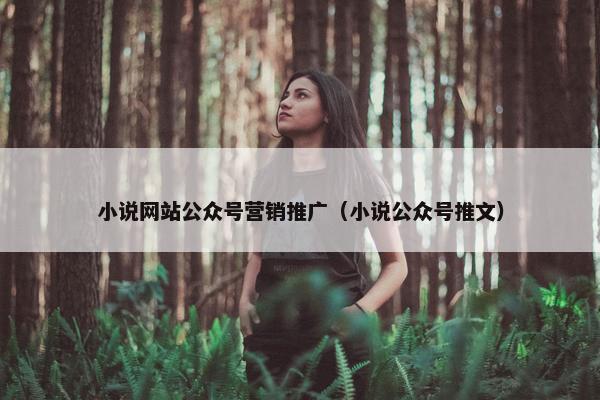 小说网站公众号营销推广（小说公众号推文）