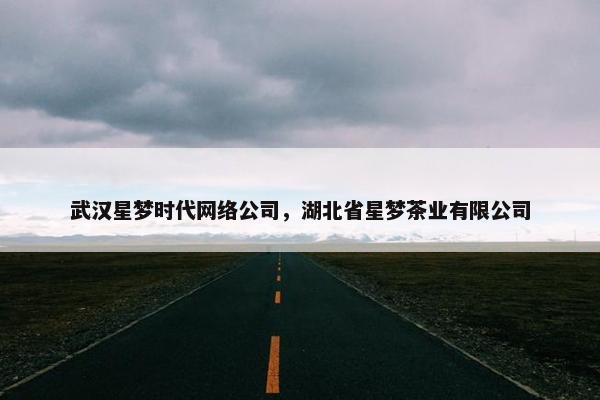 武汉星梦时代网络公司，湖北省星梦茶业有限公司