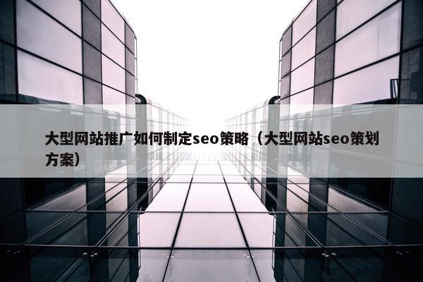 大型网站推广如何制定seo策略（大型网站seo策划方案）