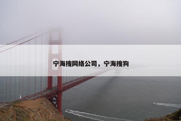 宁海搜网络公司，宁海搜狗