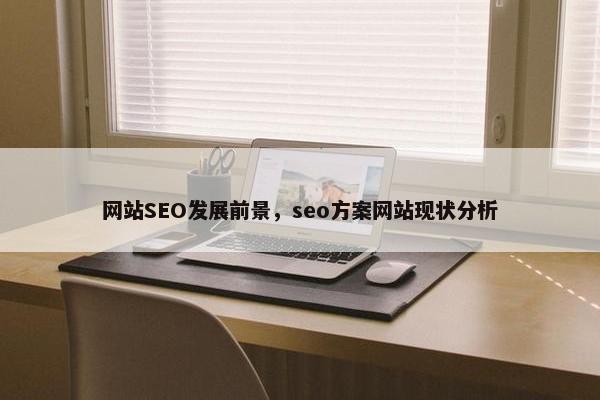 网站SEO发展前景，seo方案网站现状分析