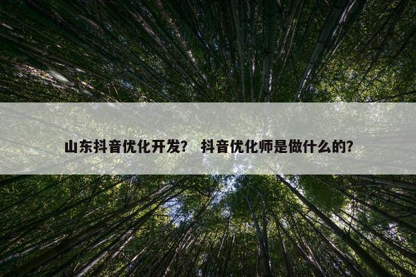 山东抖音优化开发？ 抖音优化师是做什么的？