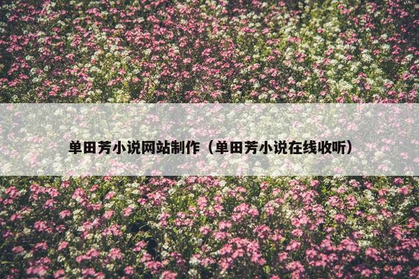 单田芳小说网站制作（单田芳小说在线收听）