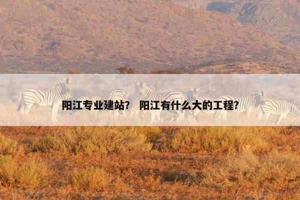 阳江专业建站？ 阳江有什么大的工程？