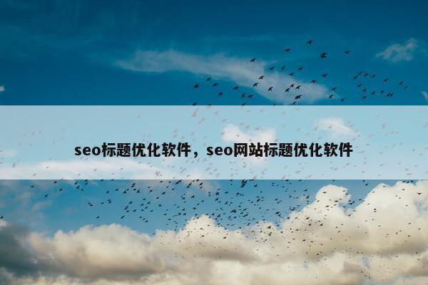seo标题优化软件，seo网站标题优化软件