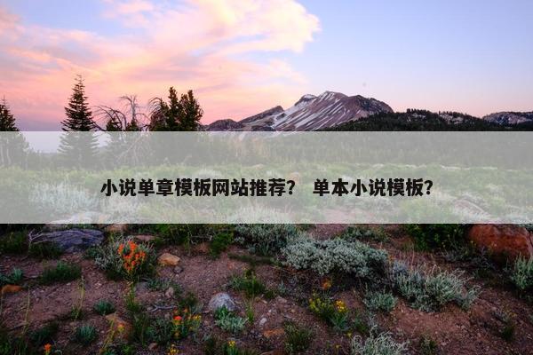小说单章模板网站推荐？ 单本小说模板？