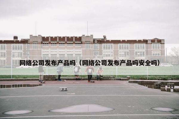 网络公司发布产品吗（网络公司发布产品吗安全吗）