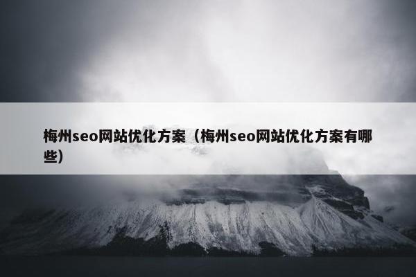 梅州seo网站优化方案（梅州seo网站优化方案有哪些）