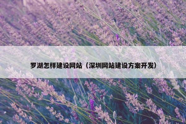 罗湖怎样建设网站（深圳网站建设方案开发）
