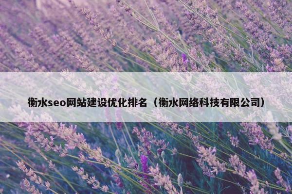 衡水seo网站建设优化排名（衡水网络科技有限公司）