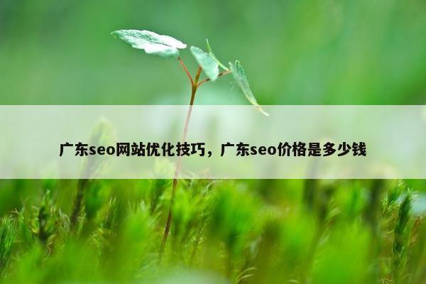 广东seo网站优化技巧，广东seo价格是多少钱