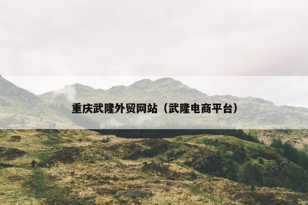 重庆武隆外贸网站（武隆电商平台）
