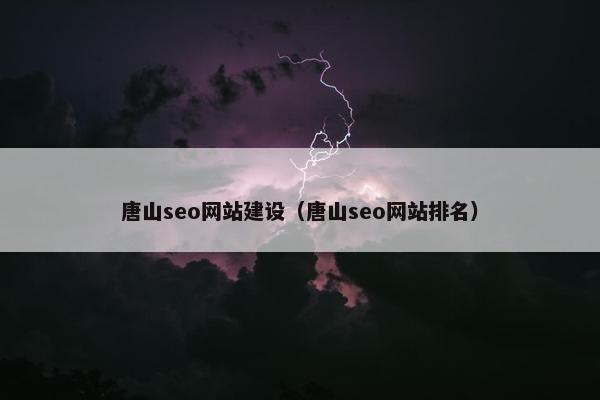 唐山seo网站建设（唐山seo网站排名）
