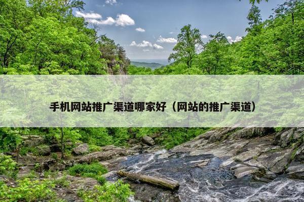 手机网站推广渠道哪家好（网站的推广渠道）