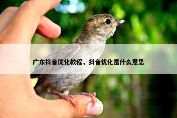 广东抖音优化教程，抖音优化是什么意思