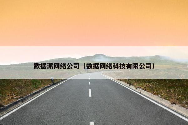 数据派网络公司（数据网络科技有限公司）