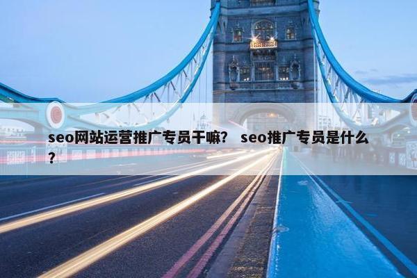 seo网站运营推广专员干嘛？ seo推广专员是什么？