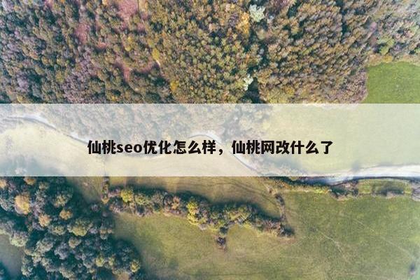 仙桃seo优化怎么样，仙桃网改什么了