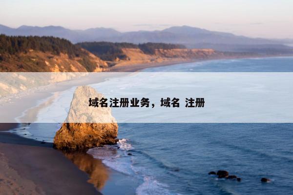 域名注册业务，域名 注册